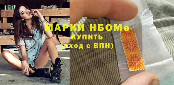 индика Снежногорск