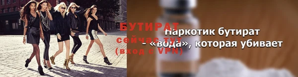 индика Снежногорск