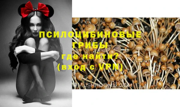 мяу мяу мука Слюдянка