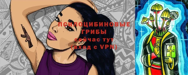 прущий лед Семёнов