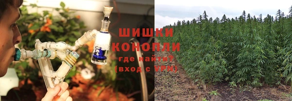 ПСИЛОЦИБИНОВЫЕ ГРИБЫ Семикаракорск