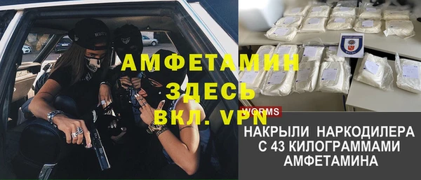 индика Снежногорск