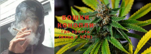 индика Снежногорск