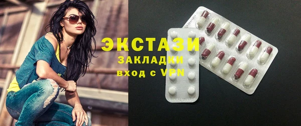 индика Снежногорск