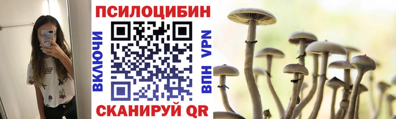 Псилоцибиновые грибы мицелий  купить наркотик  Липецк 