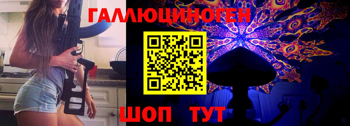 Псилоцибиновые грибы Psilocybe Липецк