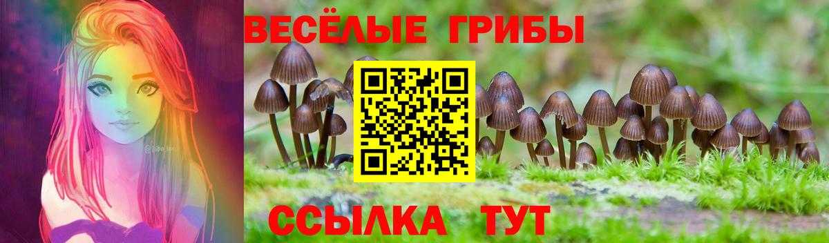 Псилоцибиновые грибы Magic Shrooms  Вход с VPN  Липецк 
